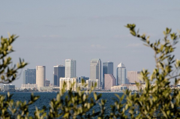 Skyline Tampa